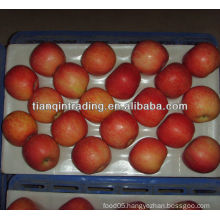 apple supplier